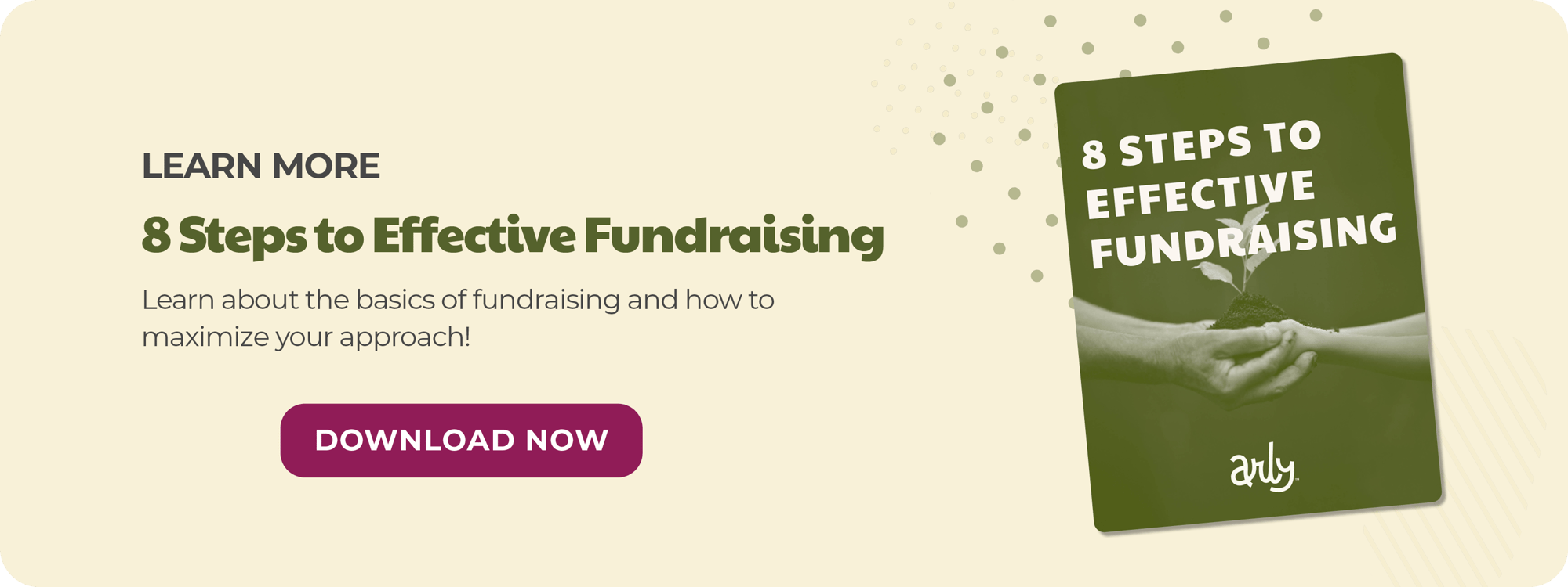 Inline CTA Fundraising e-book